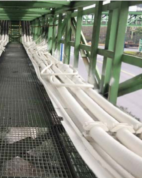 鋼鐵集團(tuán)選擇大連義邦Flammotect A防火涂料,為線纜提供高達(dá)A60等級(jí)防火保護(hù)